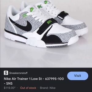 Mens nike air trainer low st